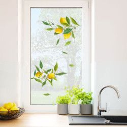 Lemon Branch αυτοκόλλητα βινυλίου για τζάμι (64016)