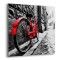 Bicycle πίνακας από βουρτσισμένο αλουμίνιο M