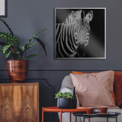 Zebra πίνακας από βουρτσισμένο αλουμίνιο M