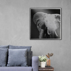 Elephant πίνακας από βουρτσισμένο αλουμίνιο M